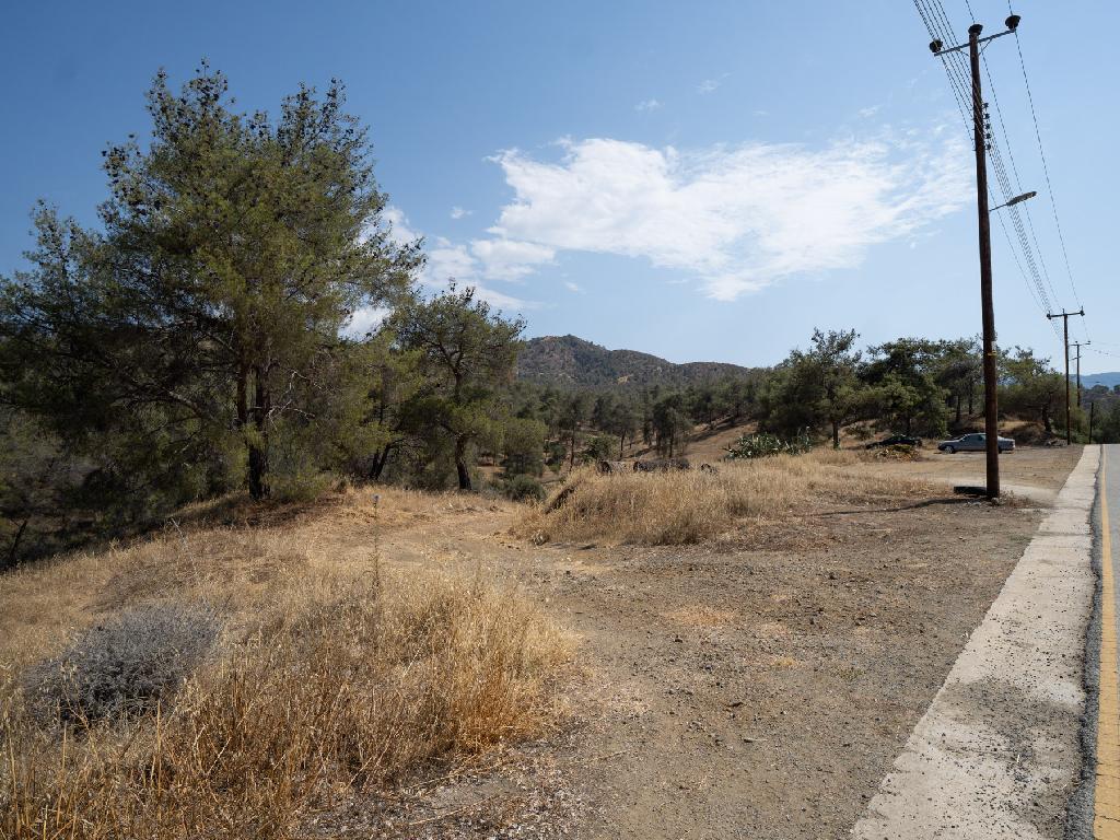 Agricultural Field - Evrichou, Nicosia image 4