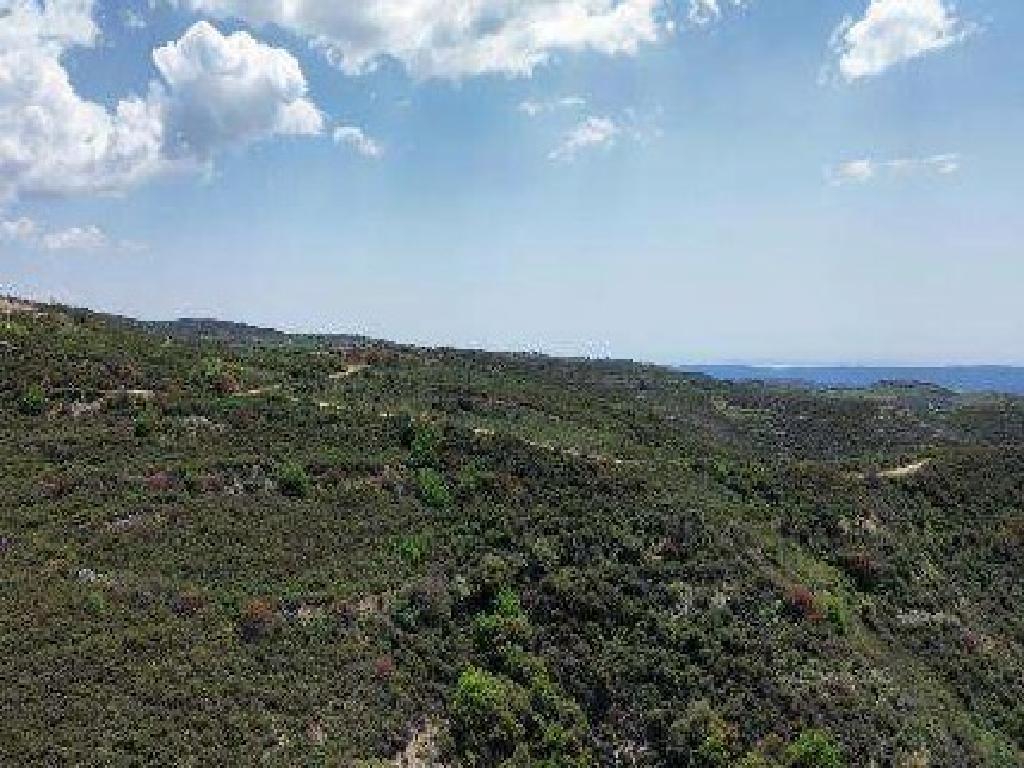 Agricultural Field – Omodos (Limassol District)