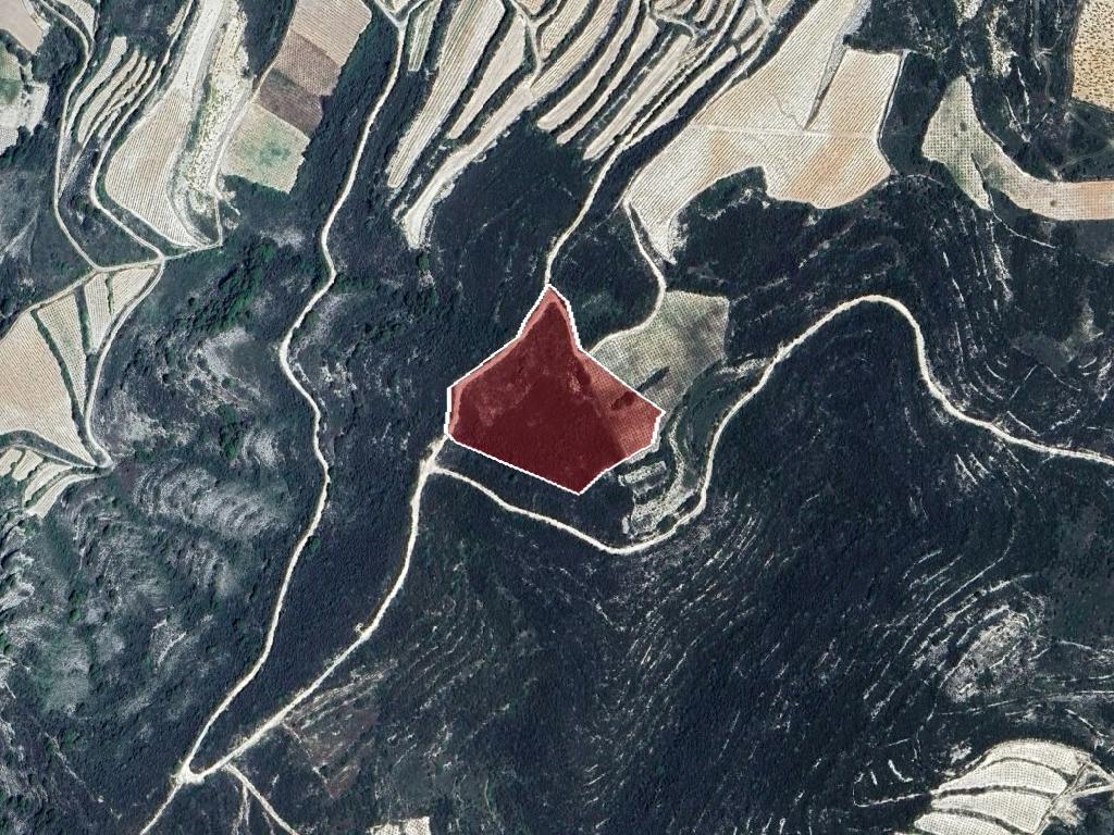 Agricultural Field – Omodos (Limassol District) image 2