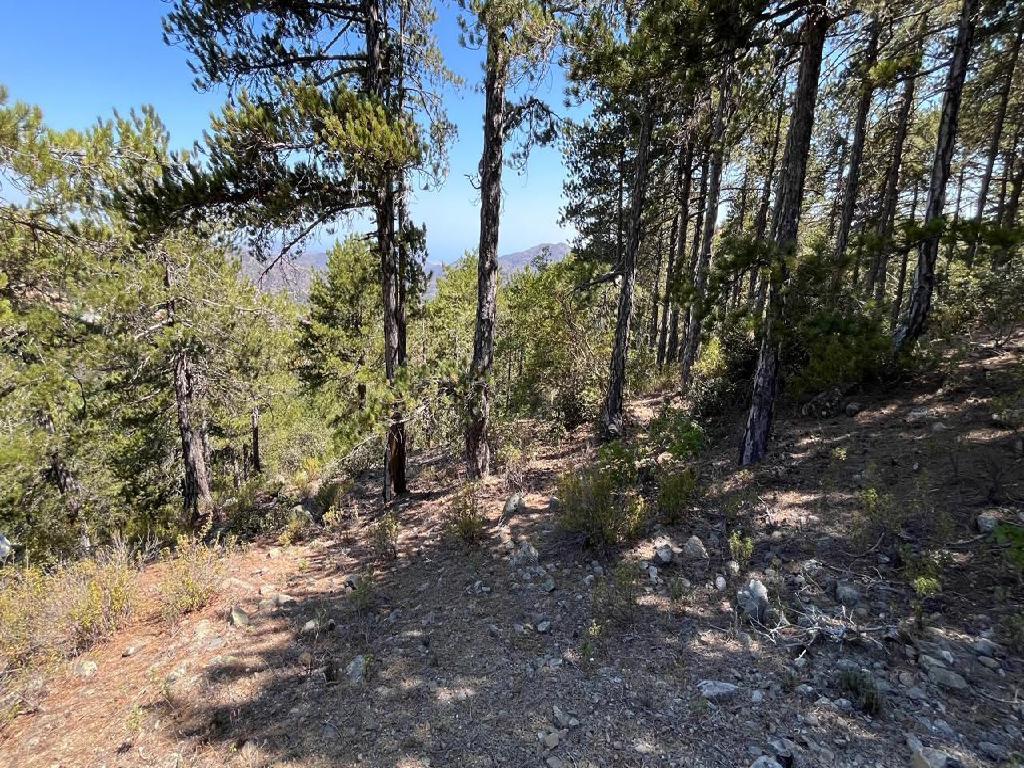 Field for Sale – Pedoulas (Nicosia District) image 2