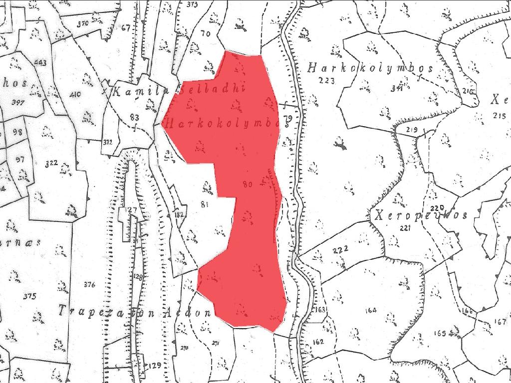 Field for Sale , Fasoula, Limassol image 4