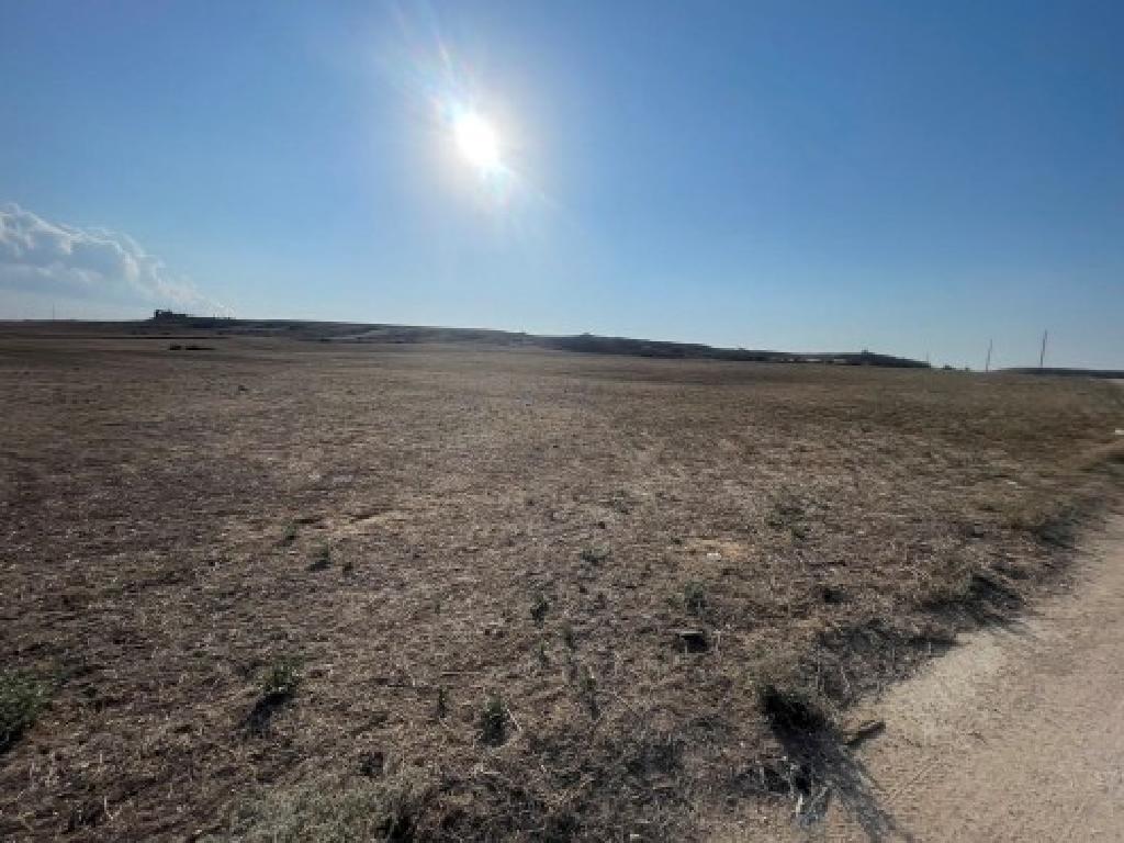 Agricultural Field - Agioi Trimithias (Nicosia District) image 2