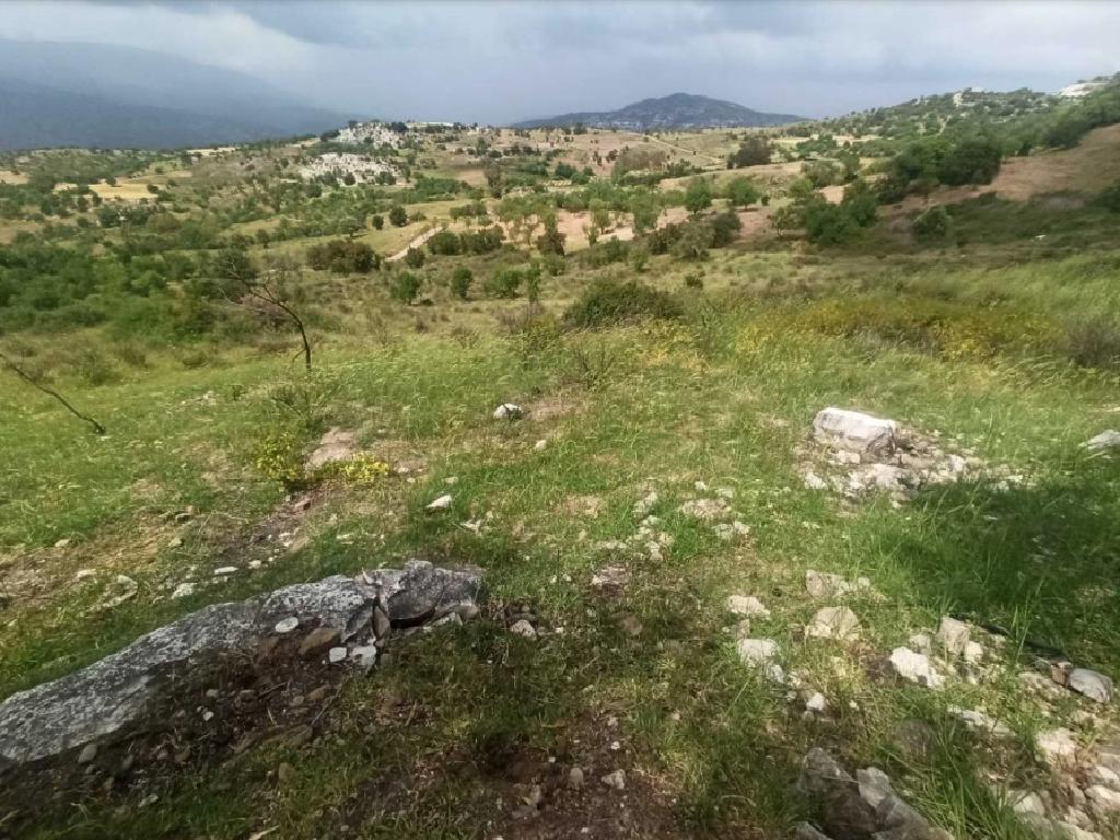 For Sale - 3 Adjacent Residential Plots - Kelokedara (Paphos) image 3