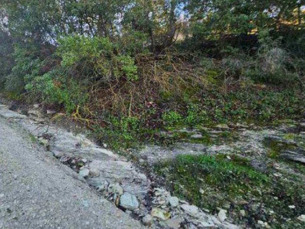 Field - Kelokedara, Paphos image 3