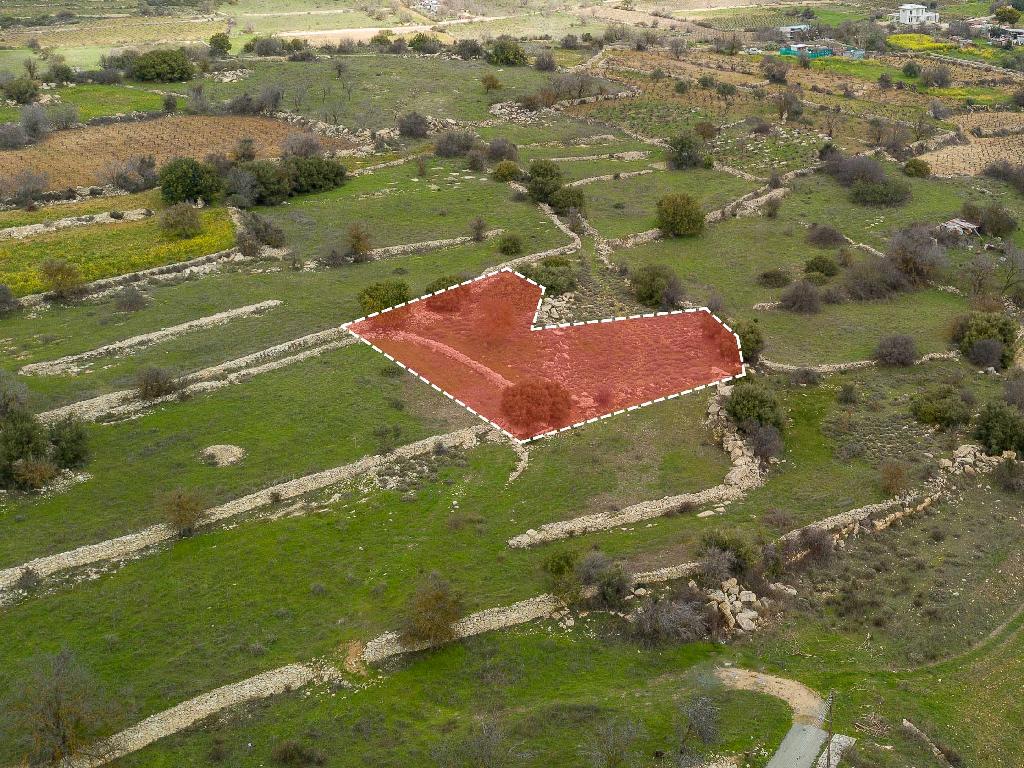Residential Field 1180 m² – Pacnha, Limassol image 2
