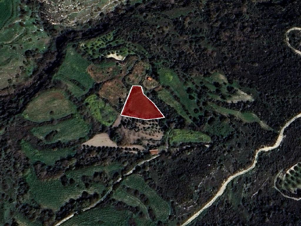 Agricultural Field - Tera, Paphos image 2