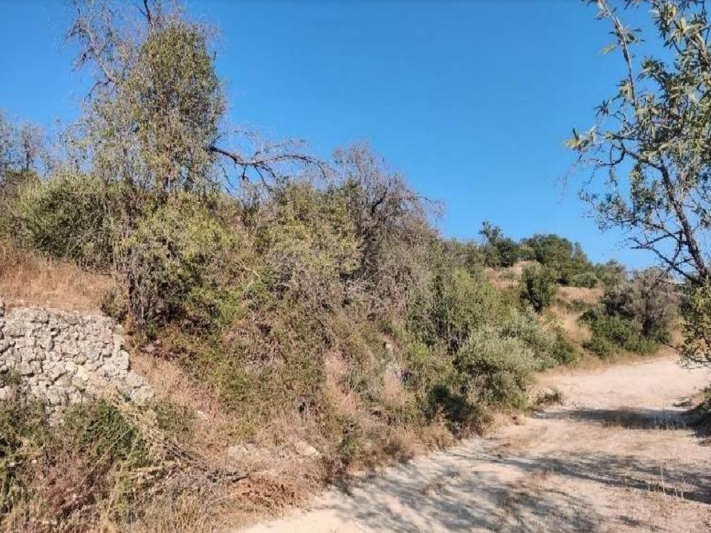 Residential Field - Agios Therapon, Limassol image 2