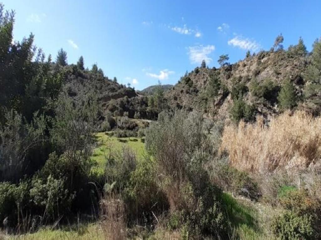 Field - Kato Lefkara, Larnaca image 3