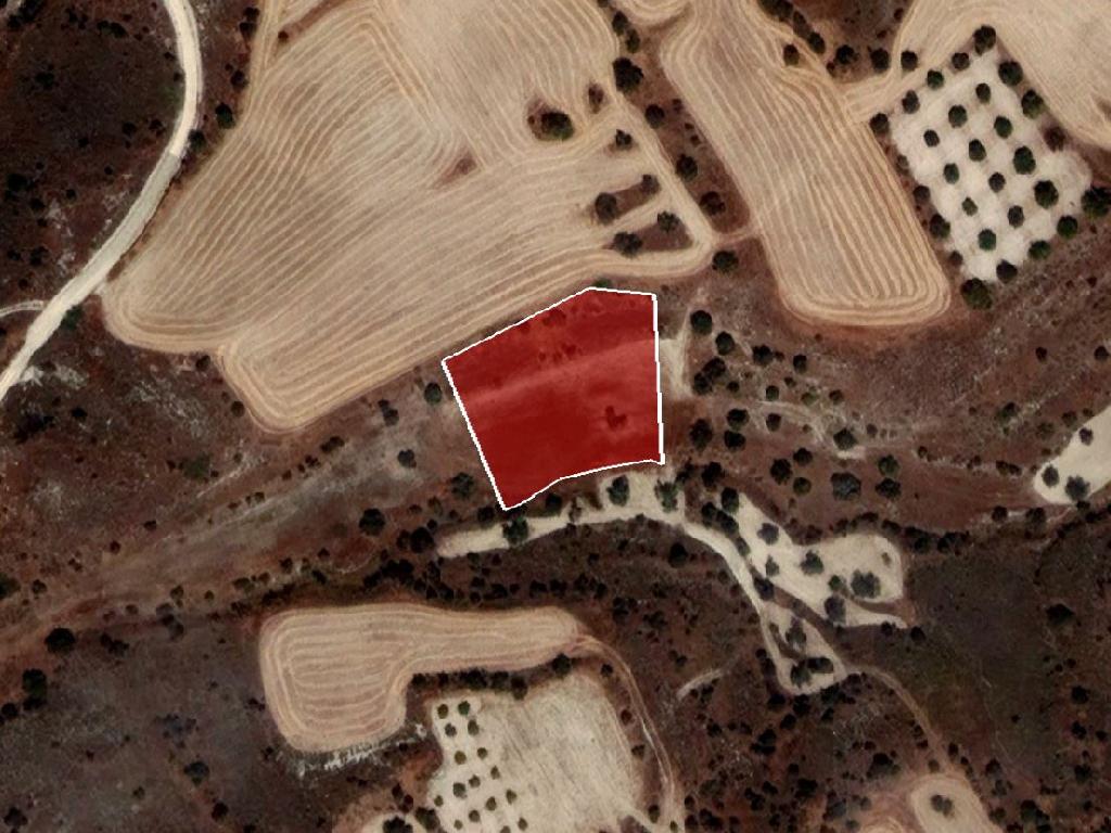 Residential Field - Alambra, Nicosia