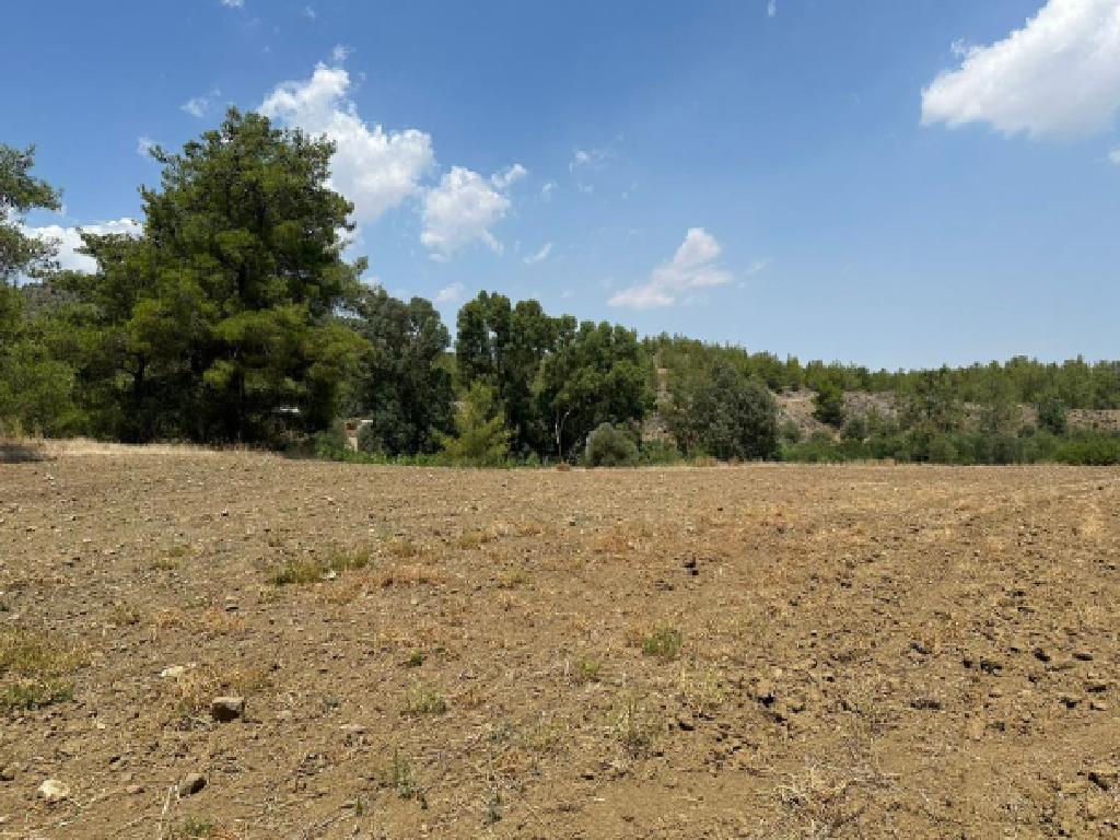 Agricultural Field - Sia, Nicosia image 3