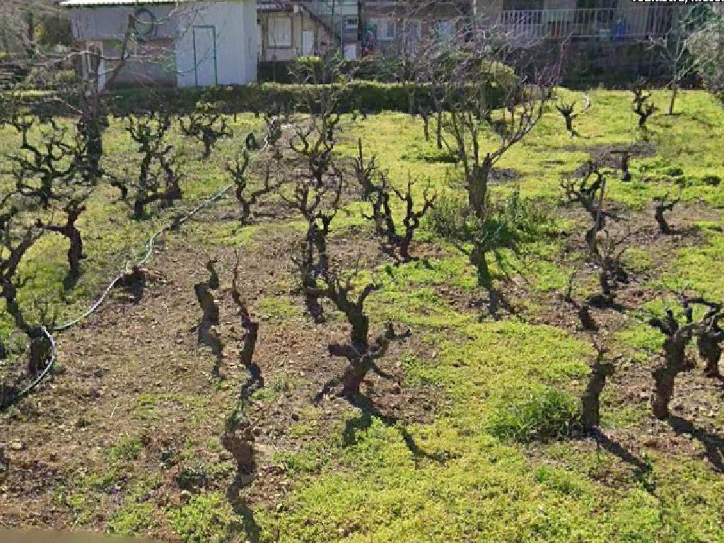 Plot - Tsakistra, Nicosia image 4