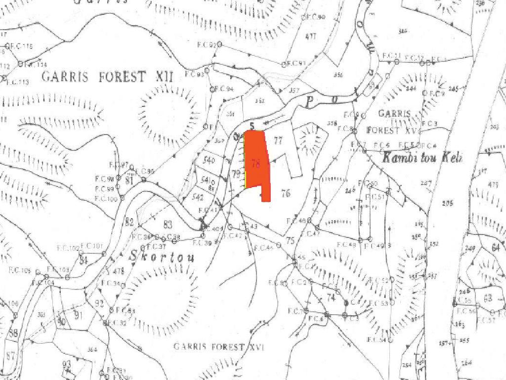 Agricultural Field - Sia, Nicosia image 2