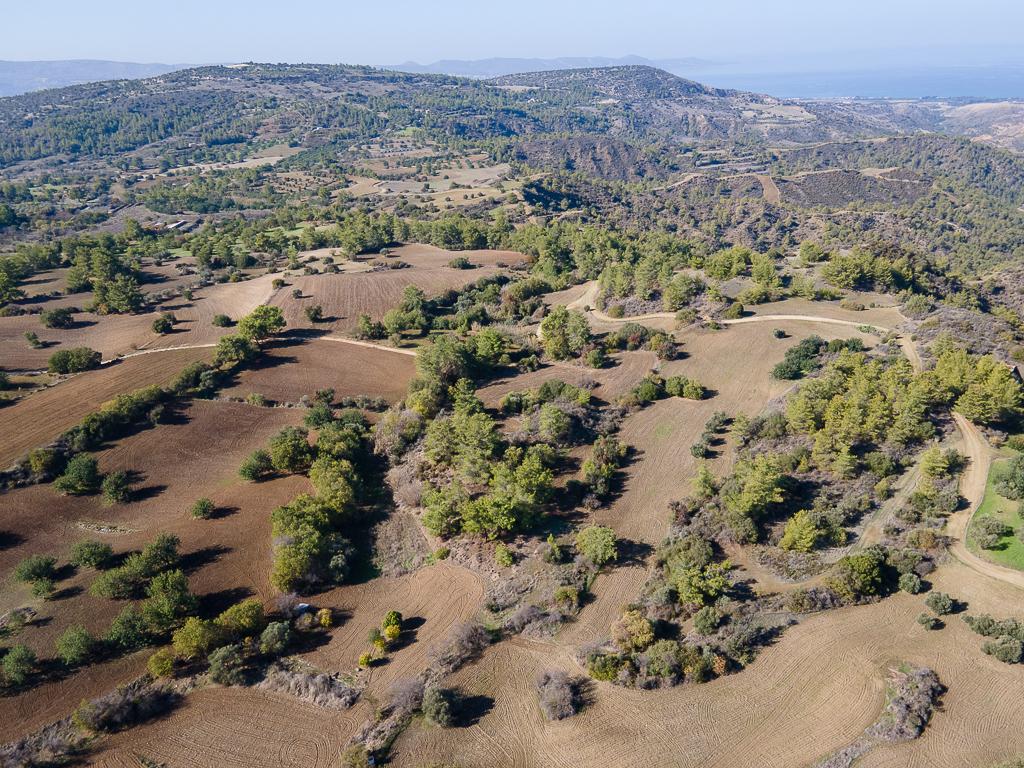 Field - Lysos, Paphos image 4