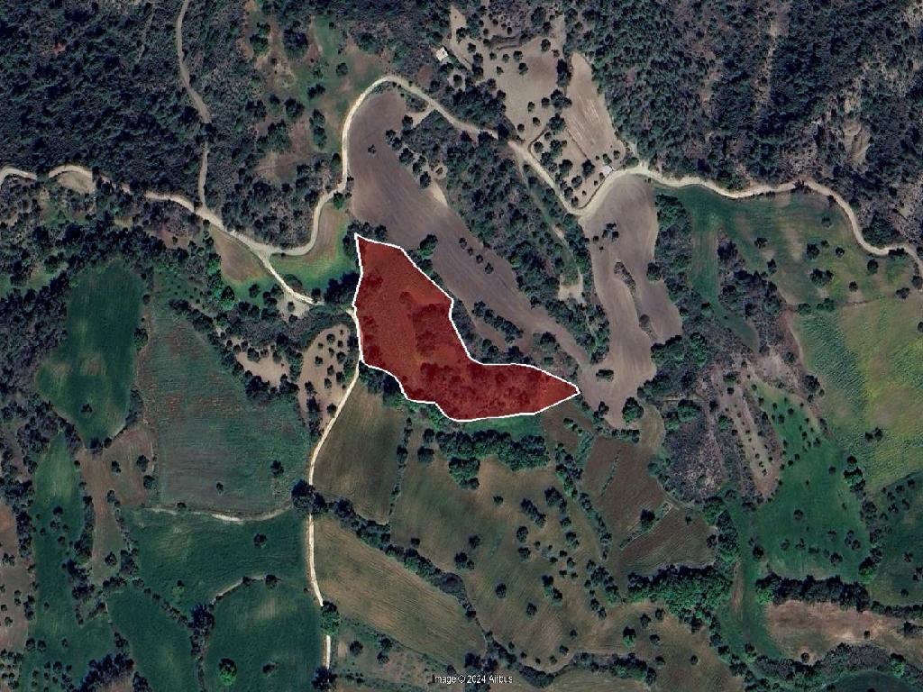 Field - Lysos, Paphos image 3