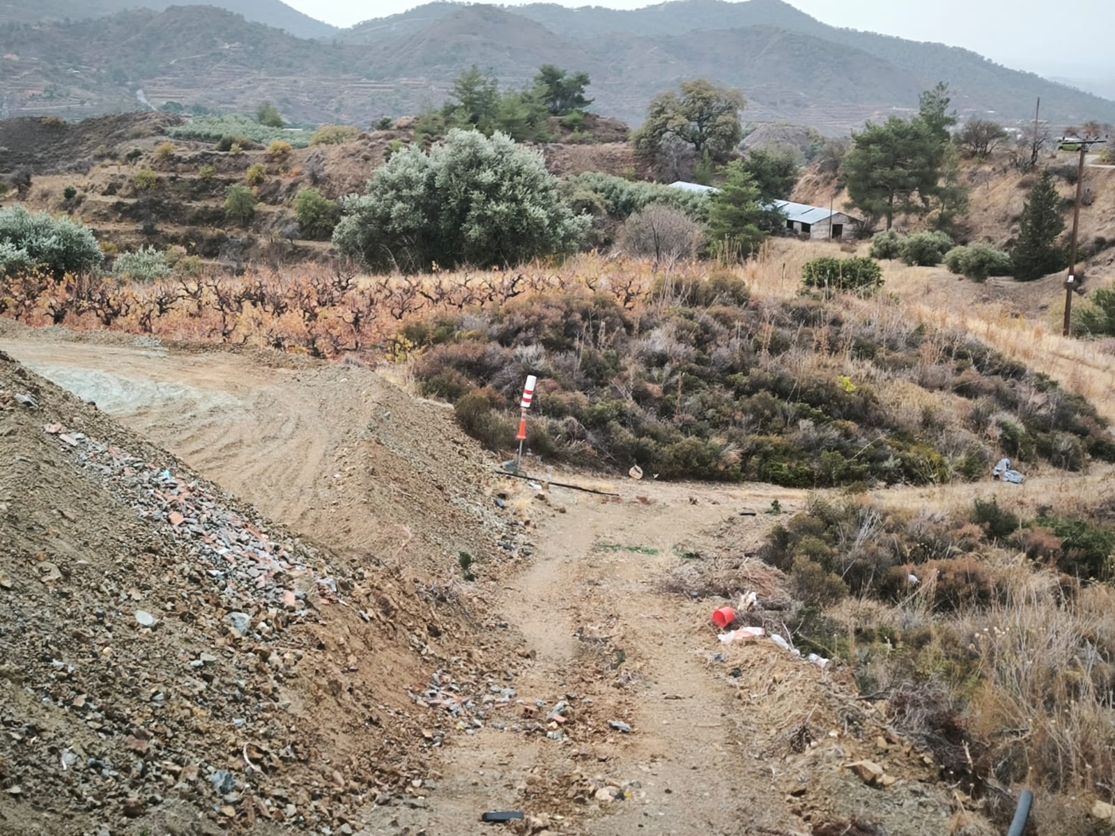 🌿 Land for Sale – 8,027 m² in Kalo Chorio Municipality image 3