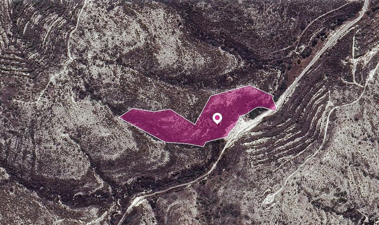 Agricultural Land image 3