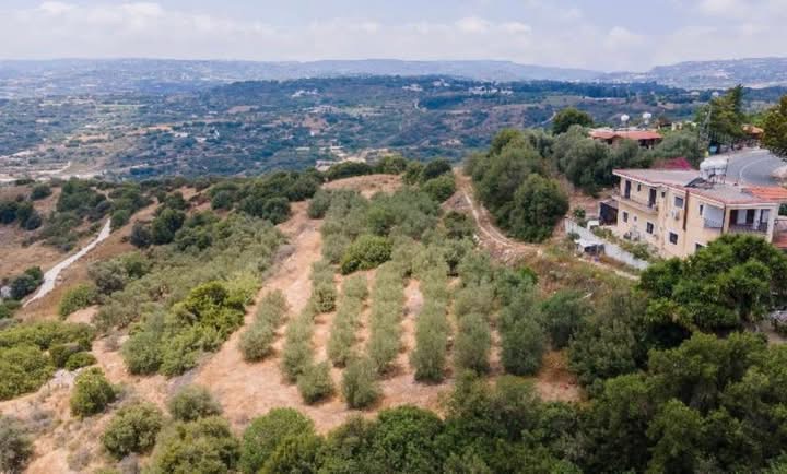 Οικιστικό χωράφι στην κοινότητα Ψάθι, Πάφος image 2