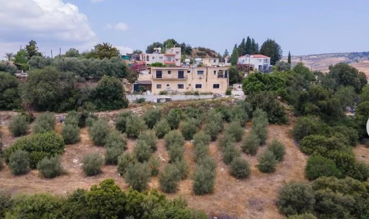 Οικιστικό χωράφι στην κοινότητα Ψάθι, Πάφος