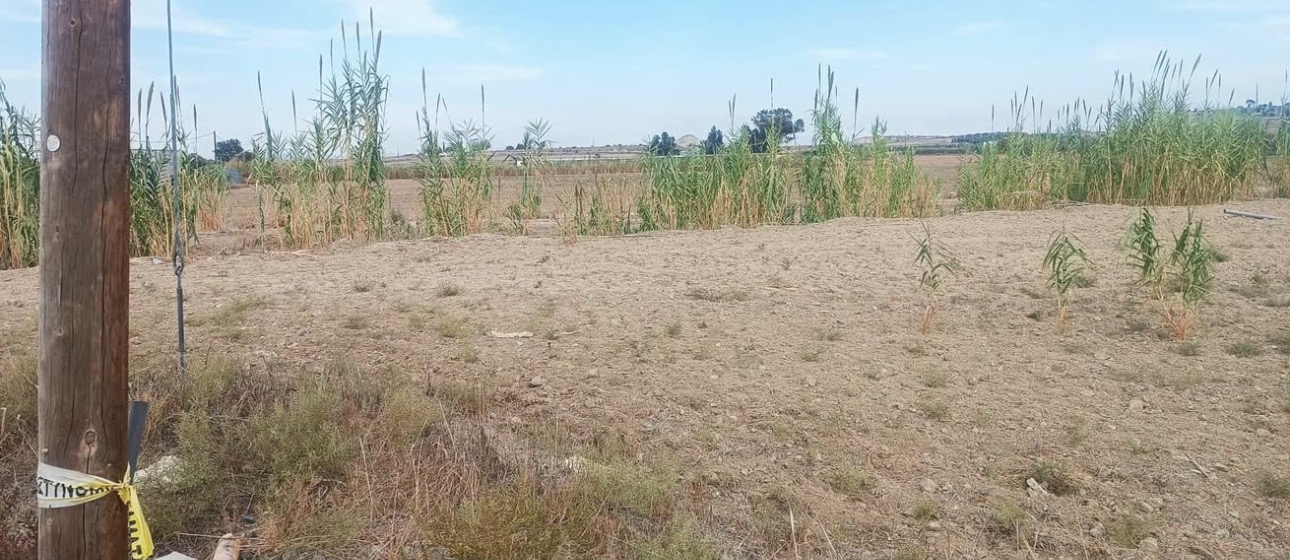 Μεγάλο Οικόπεδο προς Πώληση - Ποταμιά Επαρχία Λευκωσίας image 4