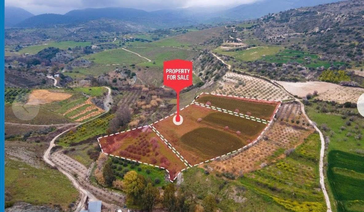 Field - Kannaviou, Paphos