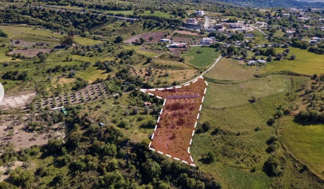 Field - Simou, Paphos image 4