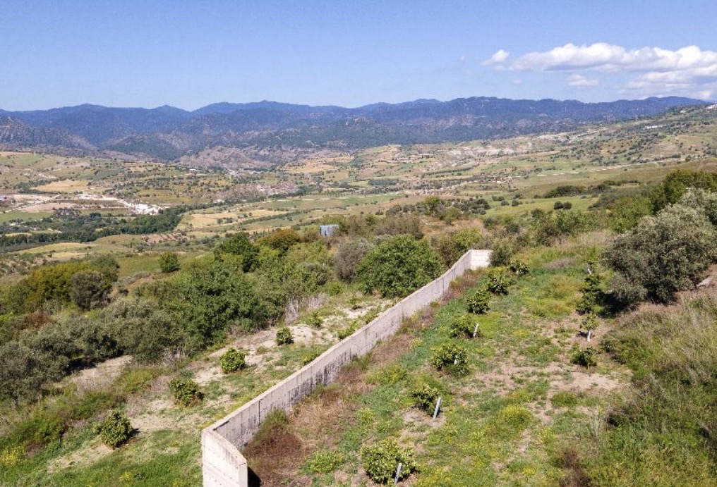 Field - Simou, Paphos image 5