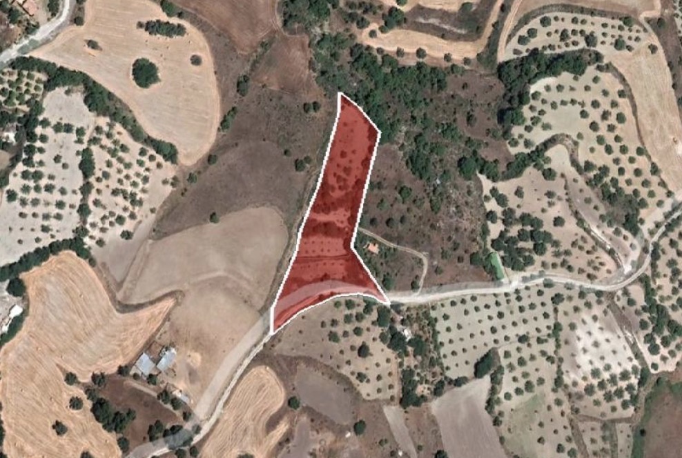 Field - Simou, Paphos image 2