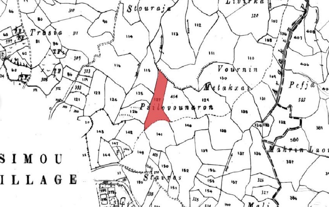 Field - Simou, Paphos image 3