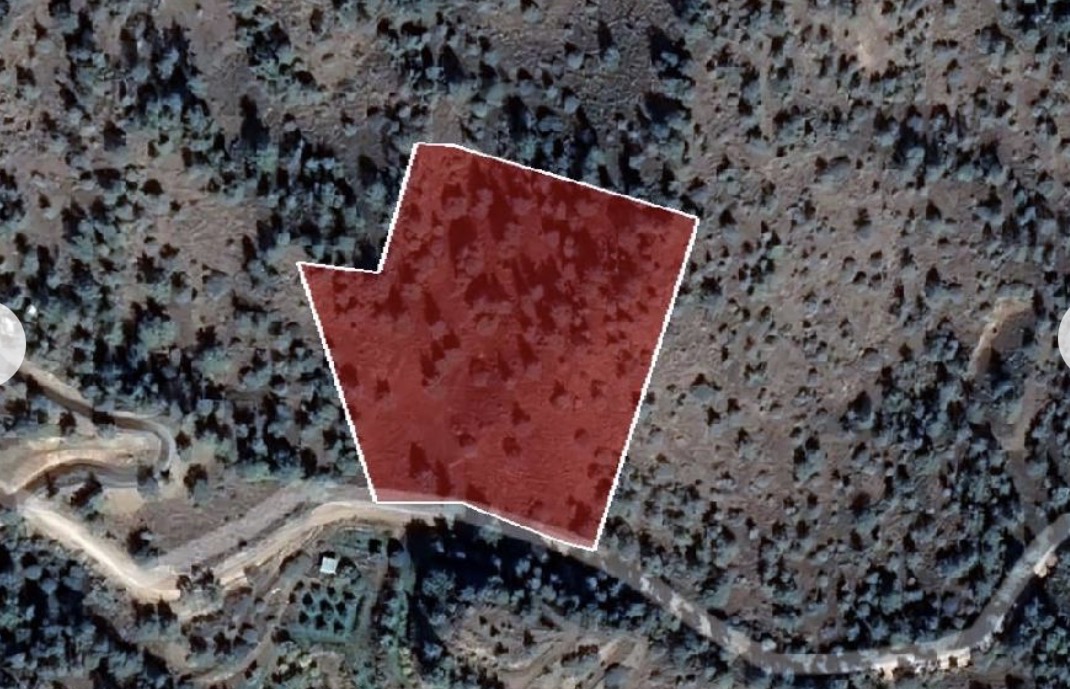 Field Kapedes, Nicosia image 2