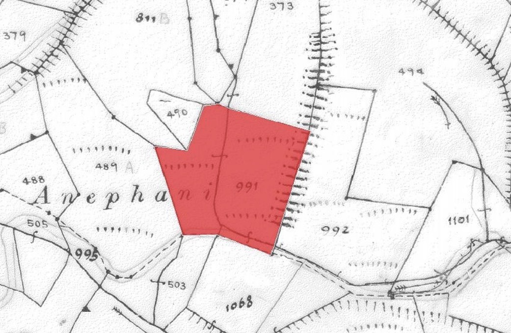 Field Kapedes, Nicosia image 3