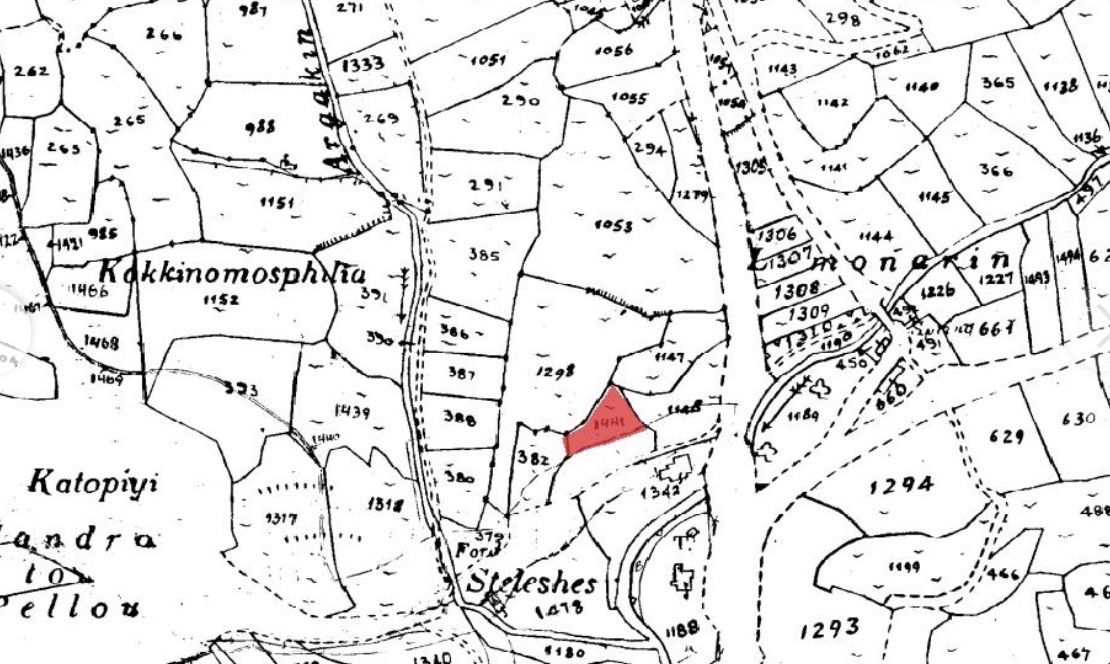 Field Stroumpi Paphos image 2