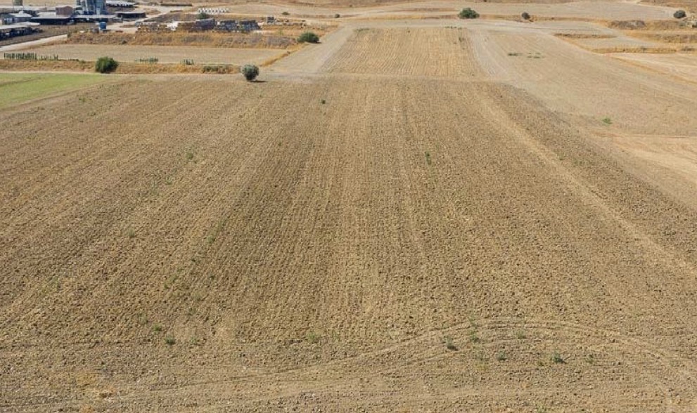 Field - Dali, Nicosia image 4