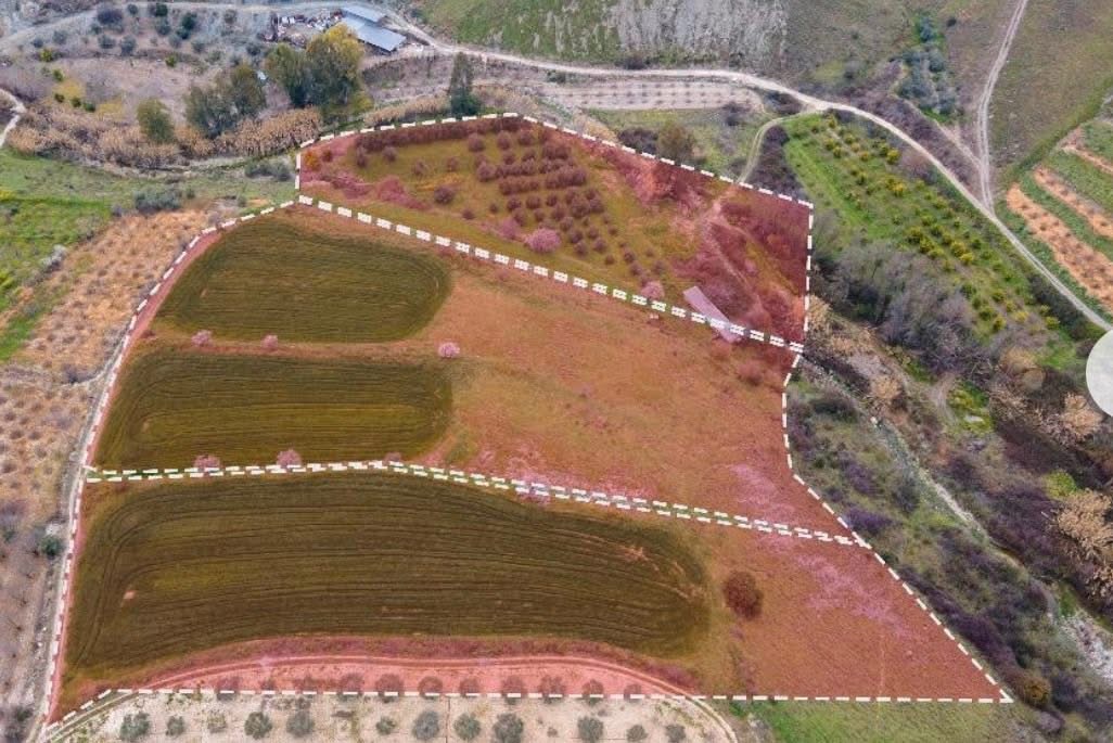 Agricultural Field - Kannaviou, Paphos image 3