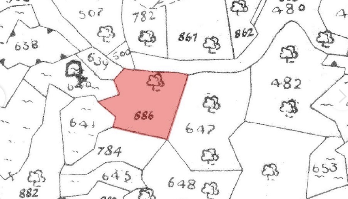 Field melini larnaka image 2