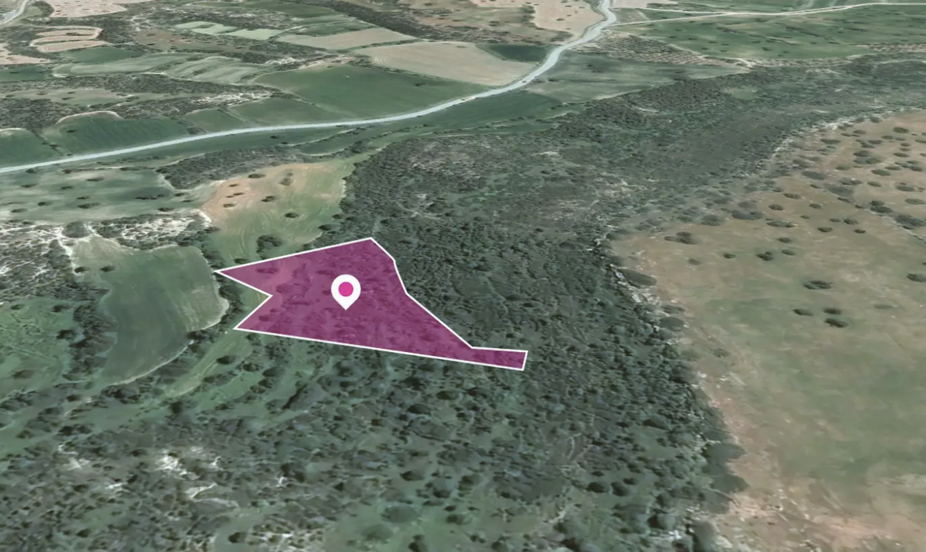 Agricultural Land Opportunity - Tranquil & Exclusive Setting image 3