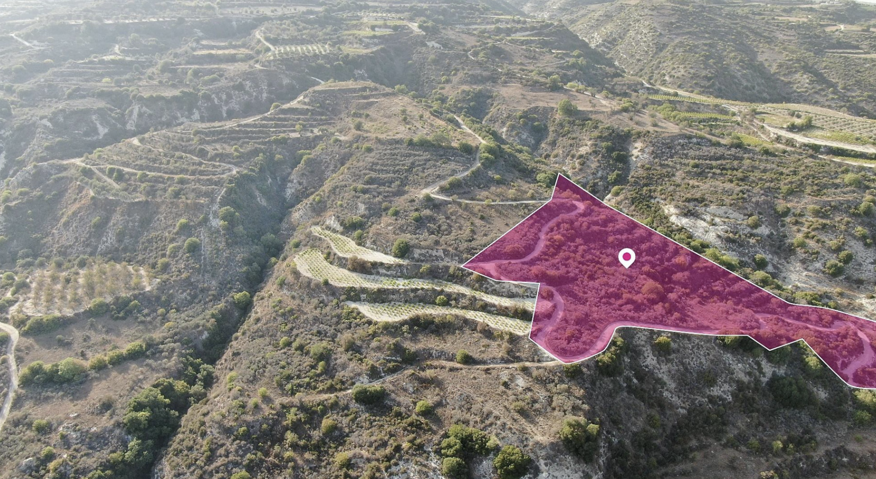 Agricultural Field 25.084 sqm - Theletra, Paphos image 3