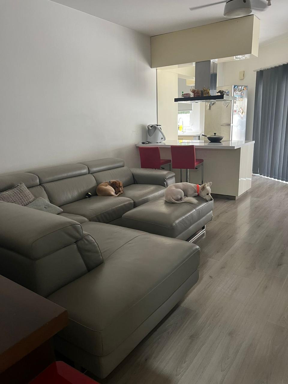 Corner Ground-Floor Apartment in Strovolos image 12