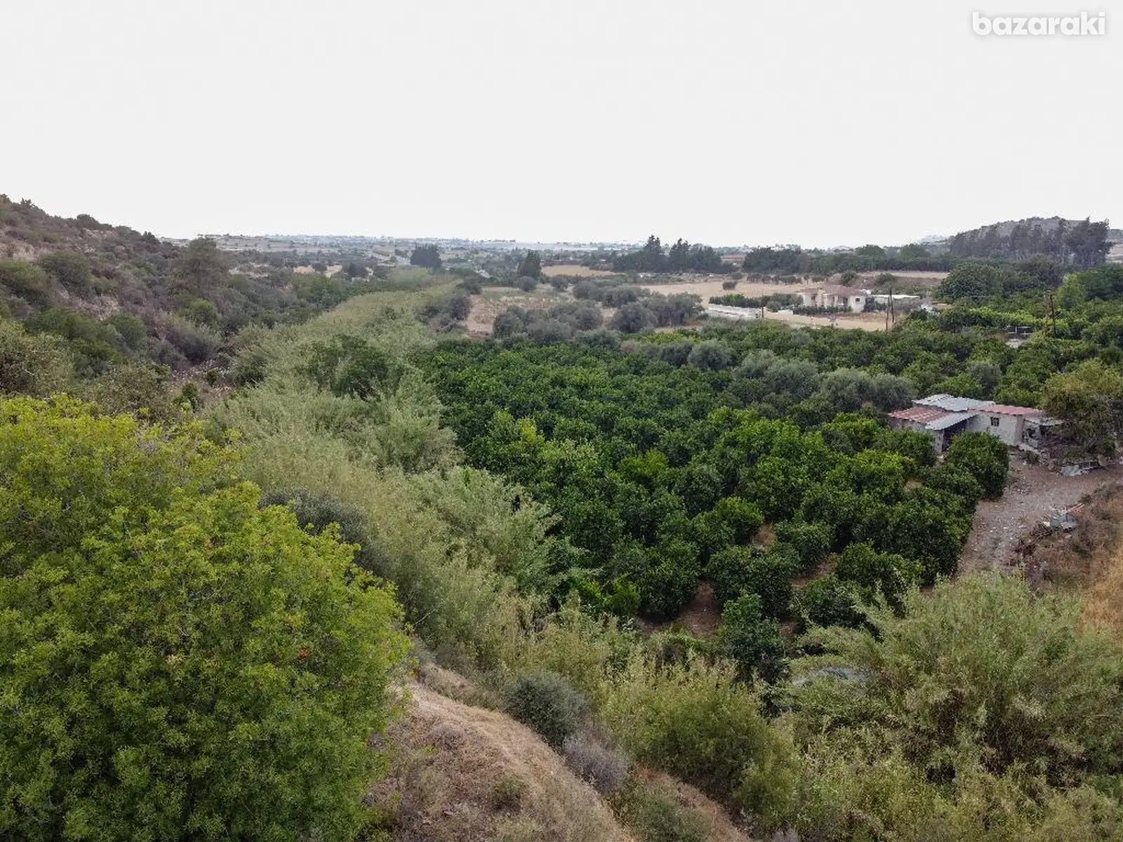 Residential Field - Alaminos, Larnaca image 2