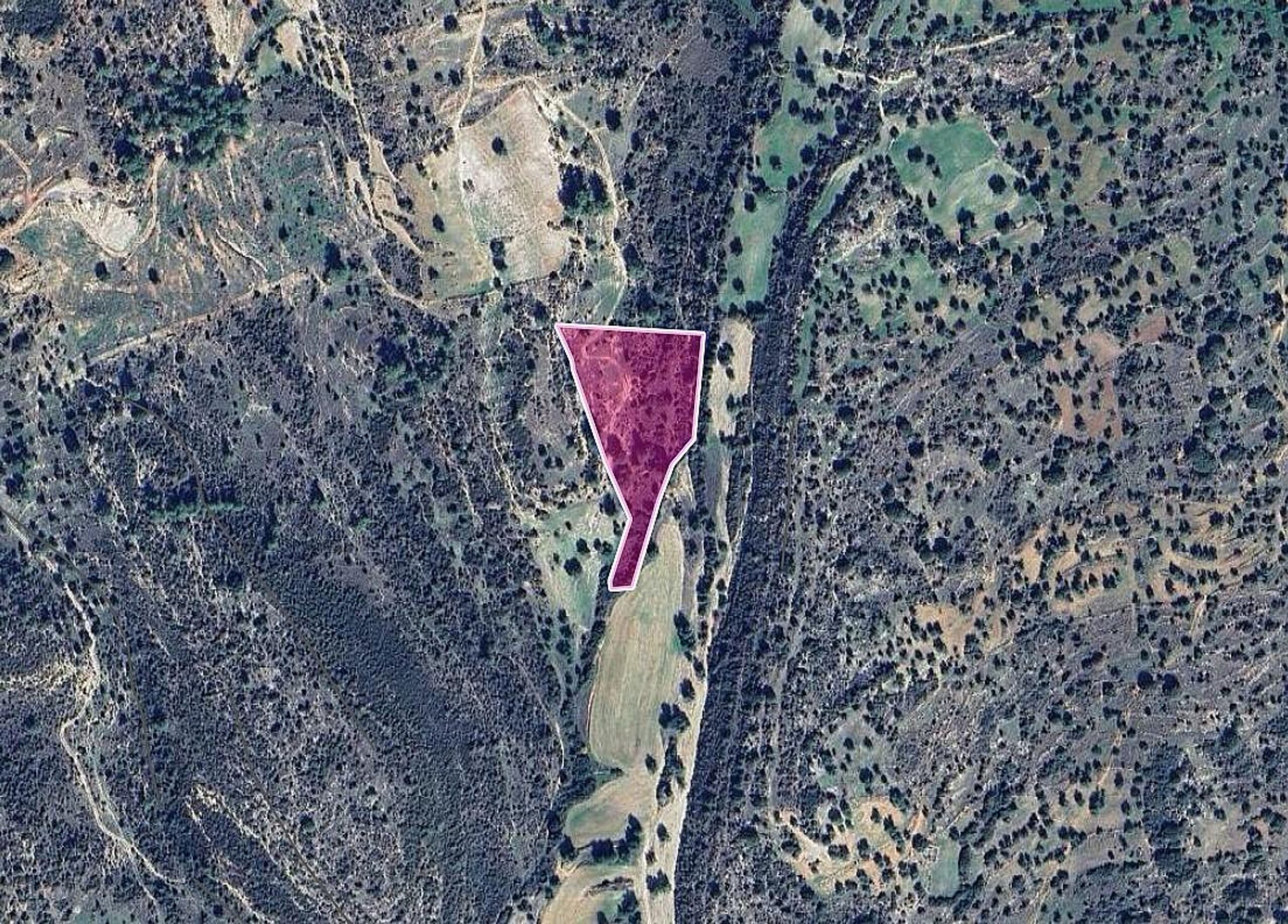 Field - Anogyra, Limassol image 2