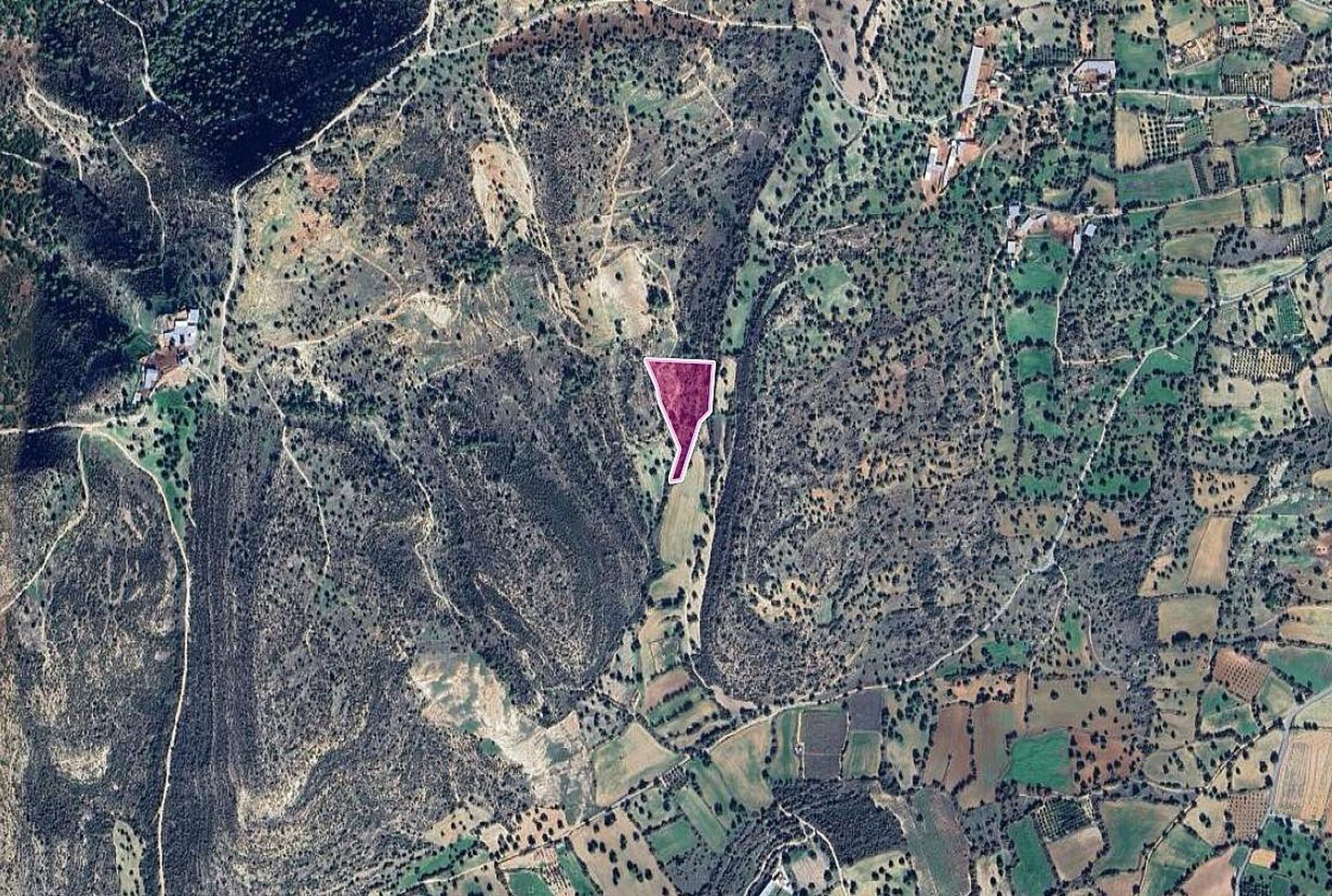 Field - Anogyra, Limassol image 3