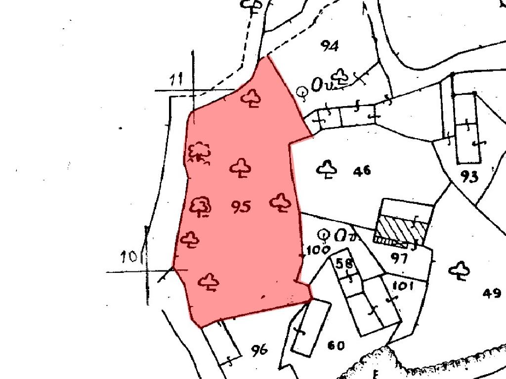 Field - Skoulli, Paphos image 3