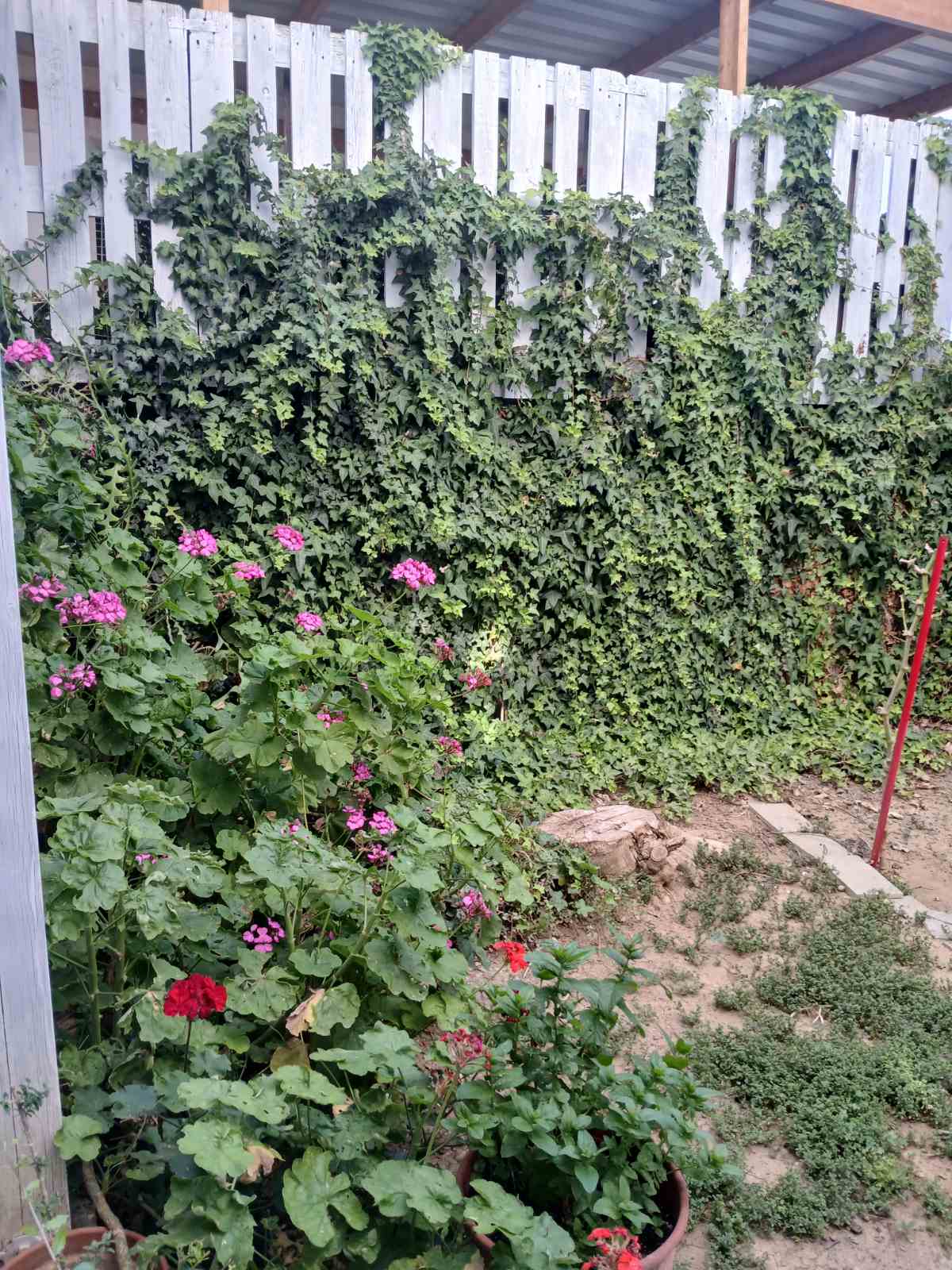 Spacious 4-Bedroom House with Attic image 6