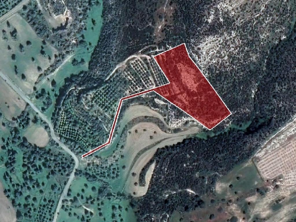 🌾 Agricultural Field for Sale – Skarinou, Larnaca image 3