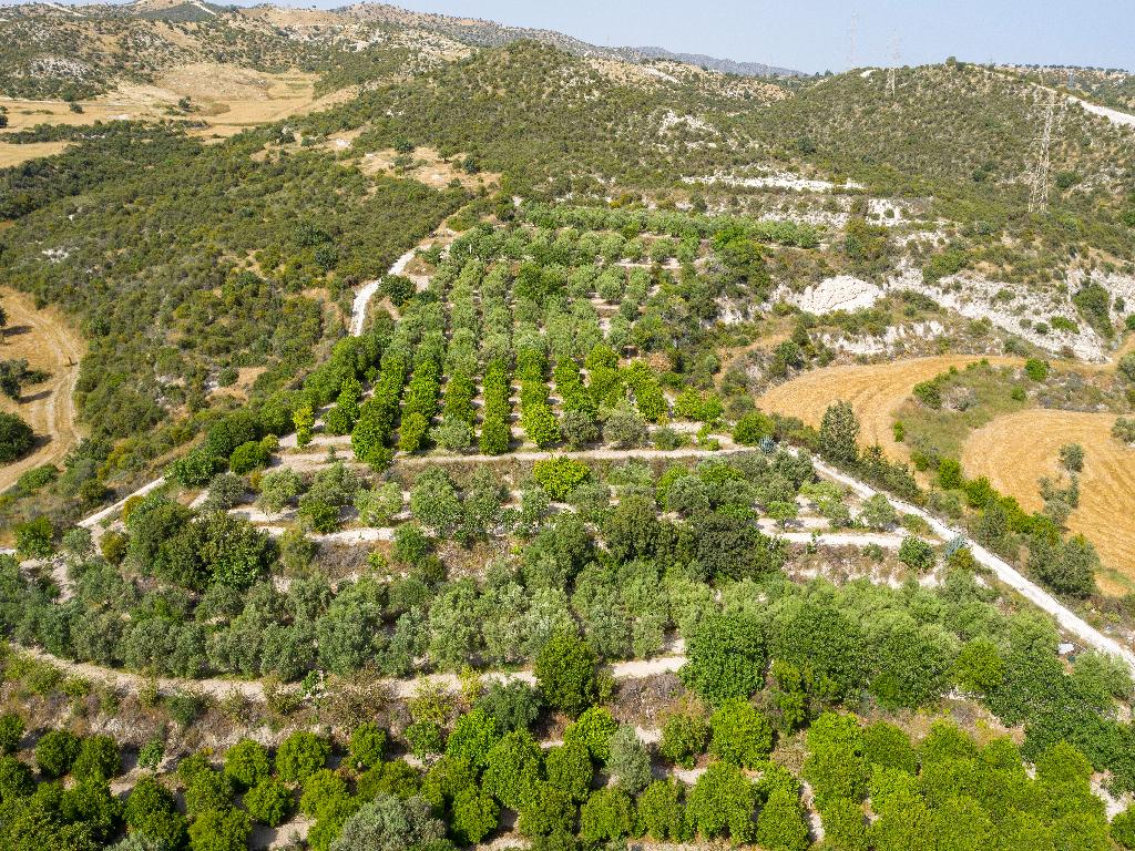 🌾 Agricultural Field for Sale – Skarinou, Larnaca image 2