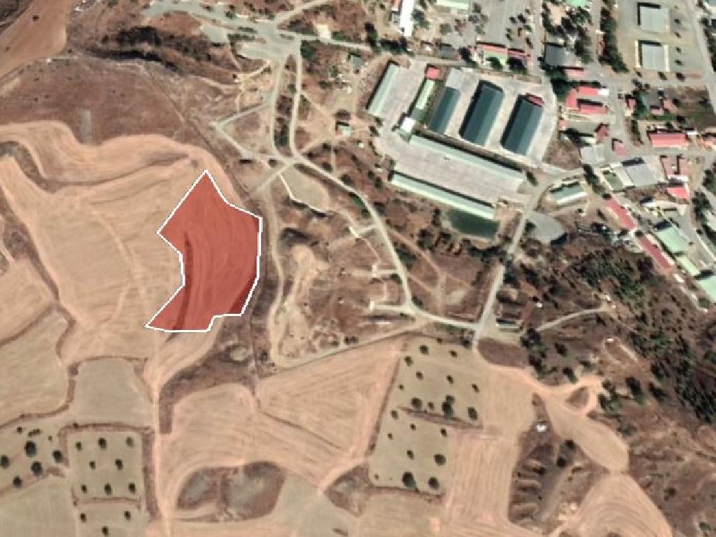 Agricultural Field in Tseri, Nicosia image 2