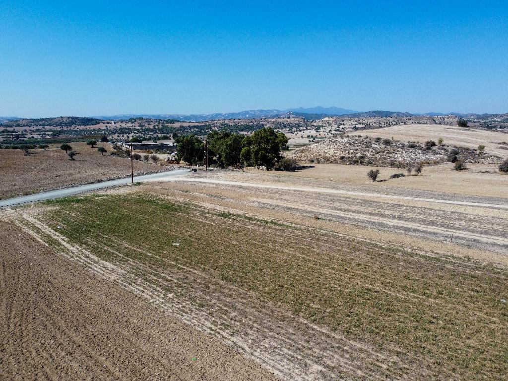 1/6 Share Residential Field for Sale in Anafotida, Larnaca image 4