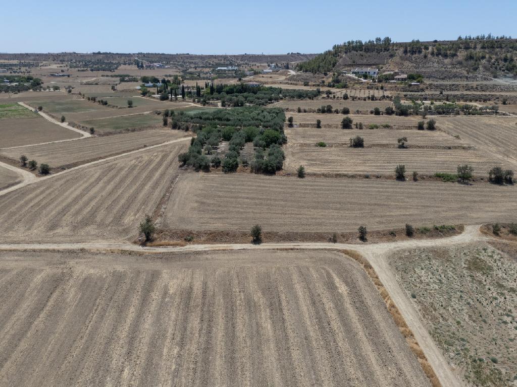 Residential Field for Sale – Pera Oreinis, Nicosia image 4