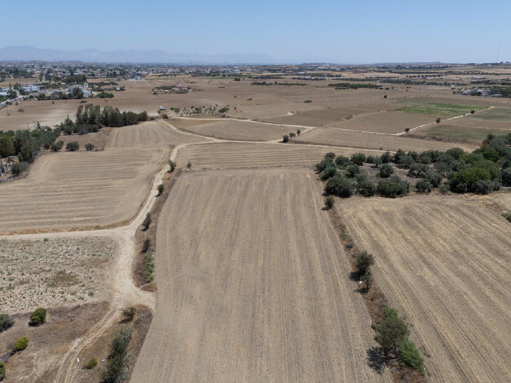 Residential Field for Sale – Pera Oreinis, Nicosia image 5
