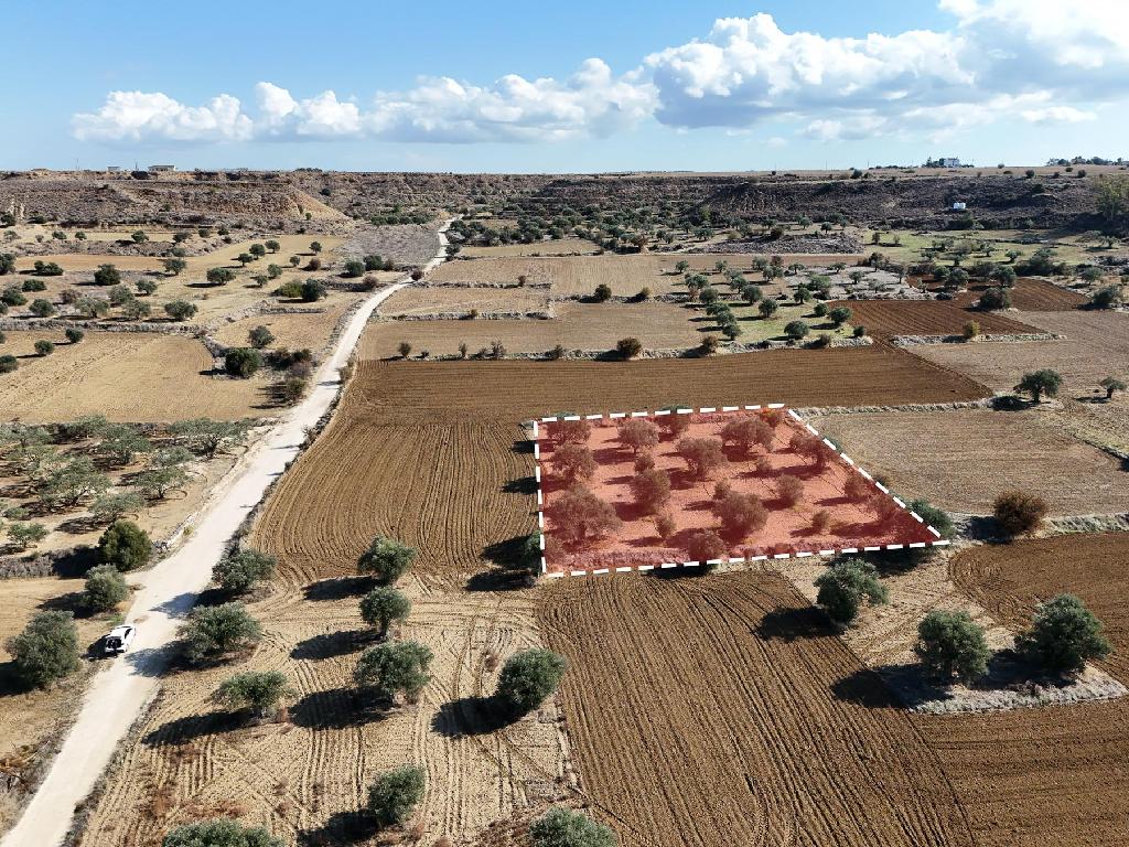 Residential Field for Sale – Pera (Oreinis), Nicosia