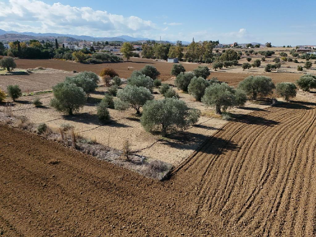 Residential Field for Sale – Pera (Oreinis), Nicosia image 4